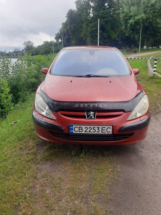 Peugeot 307 2003 рік 1.6