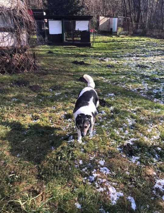 Zapomniany i niechciany Atos...