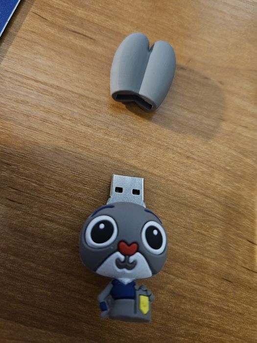 Pendrive  Zwierzogród