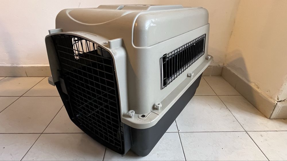 Caixa grande para transporte de animais Petmate, em bom estado
