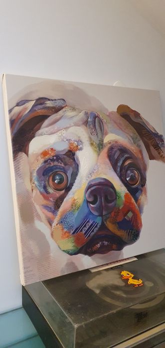Quadro buldog 4house 60×60cm