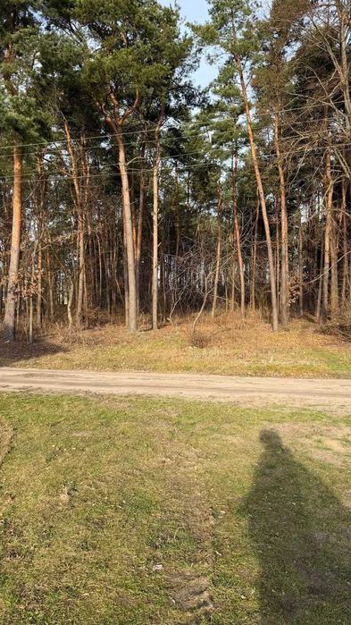 Продаж будинку біля Кременця