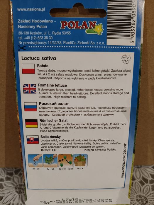 Sałata rzymska Liwia