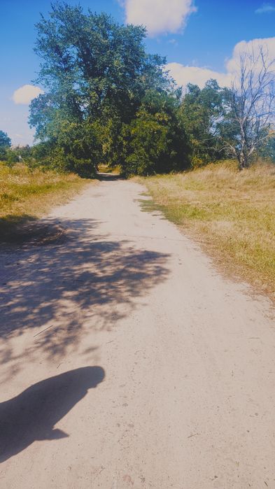 Продам приміщення 200 кВ та земельну ділянку 2,5 ГА в Літочках