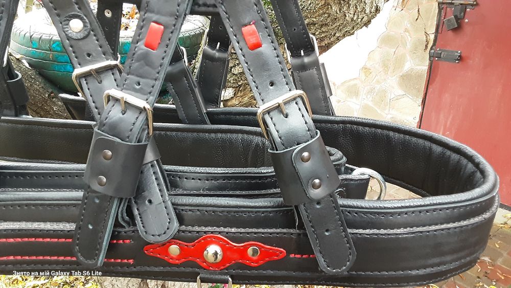 Шлея шкіряна для коня від 2500