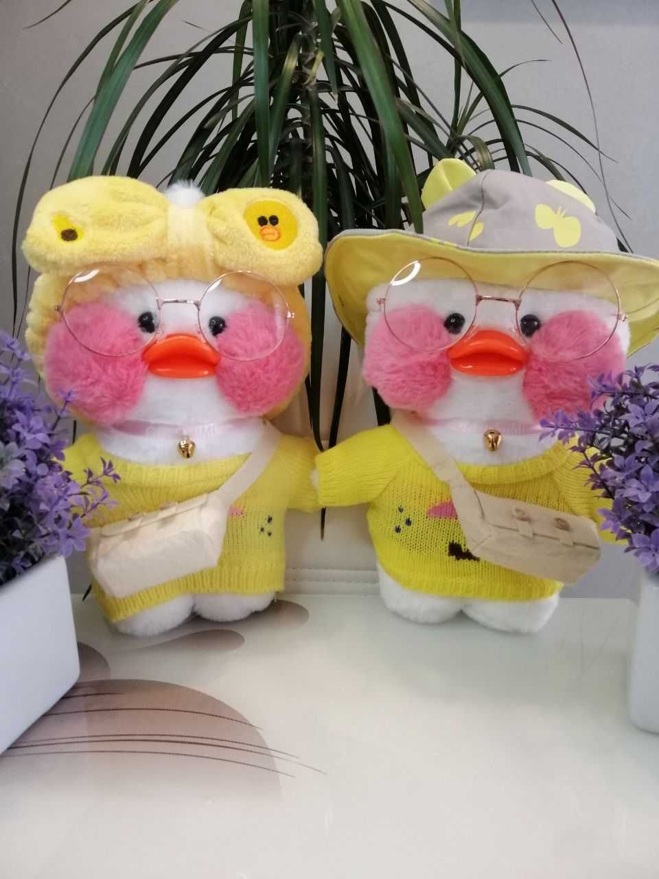 Cafe on sale mimi duck