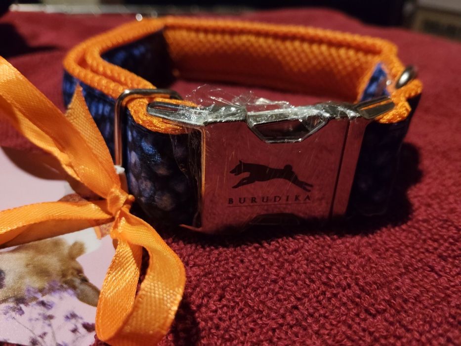 Obroża burudika blueberry