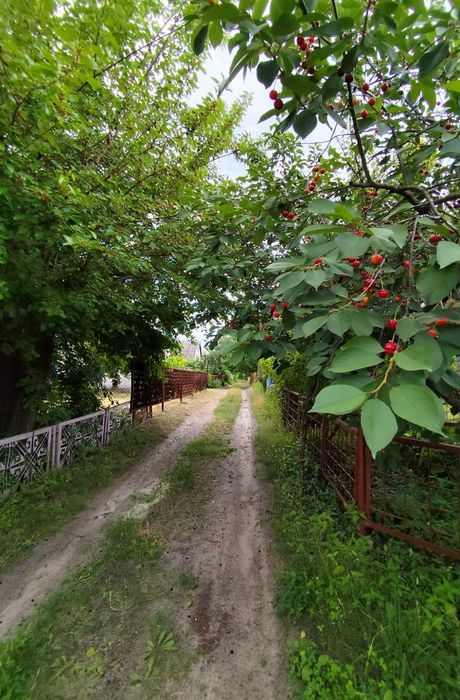 Продаж дачі в кооп *ЛИМАН* Самусіївка