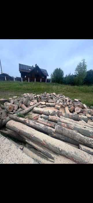 продам дрова букові Стрий,Дрогобич