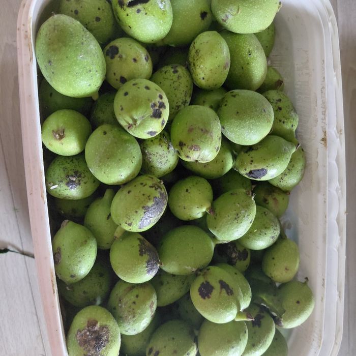 1kg orzechy włoskie zielone świeże z większymi plamkami jak na zdjęciach