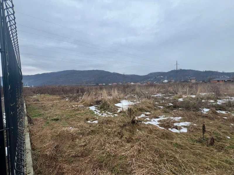 Земельна ділянка (0,3351га) Закарпатська обл., с. Довге, ур. “Бурова”.