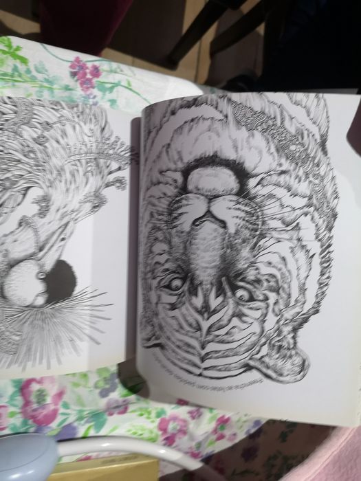 Imagimorphia livro de colorir