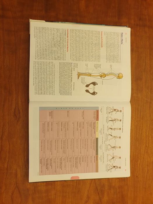 Anatomia Orientada para Clinica - 5 edição