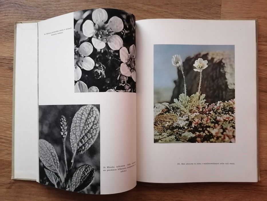 W. Puchalski, Przyroda Arktyki, 1968