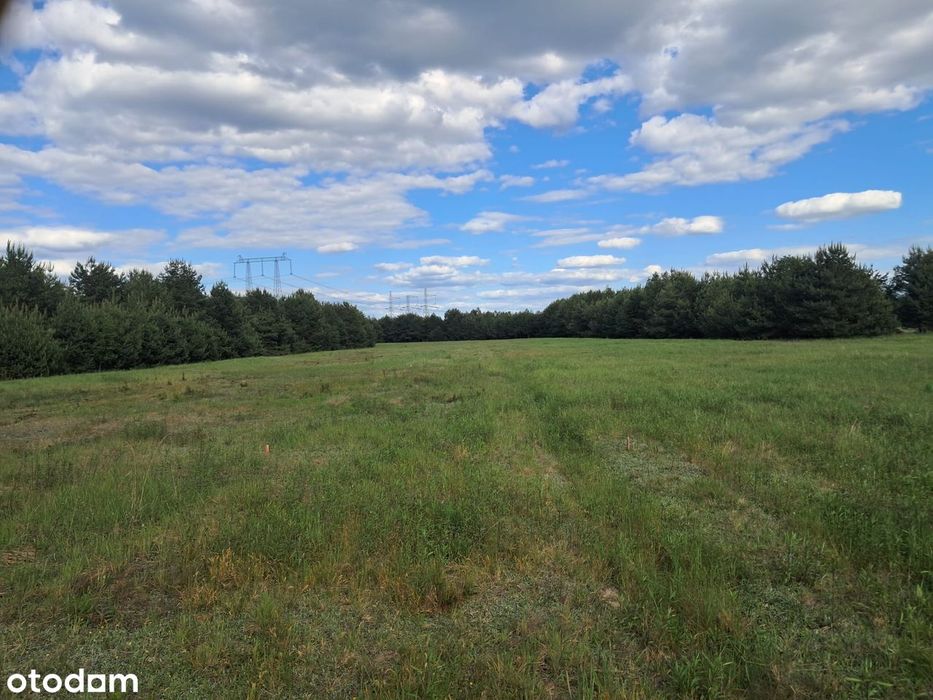 Na sprzedaż działka budowlana 36 arów – Nielepkowice - View 5