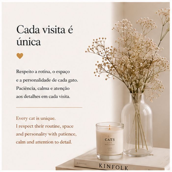 Catsitter Lisboa497380092670136323