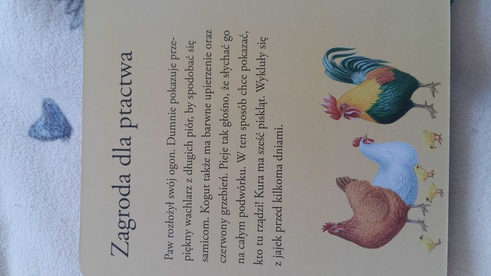 Ksiąźeczka z puzzlami "W zagrodzie"