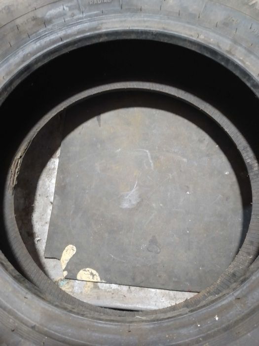 розина р 13 тунга нордвей  зимова