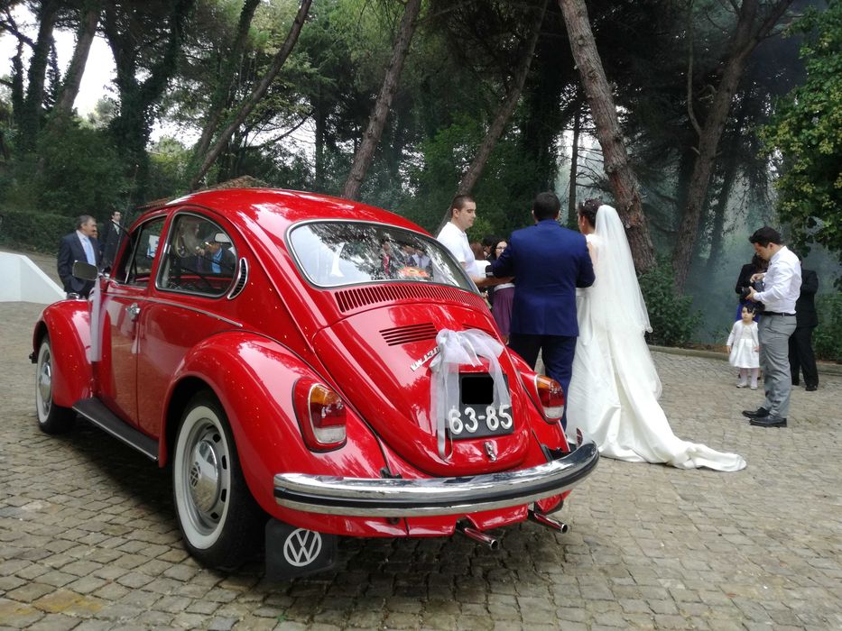 Viaturas para eventos