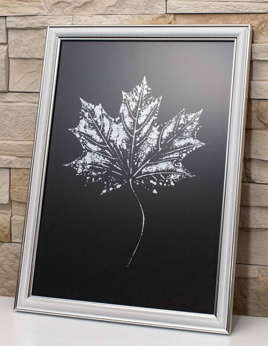 Srebrny Liść Klonu. Obraz Botaniczny. Frezowana Ramka Silver A4