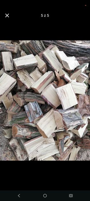 Sucha sosna polupana