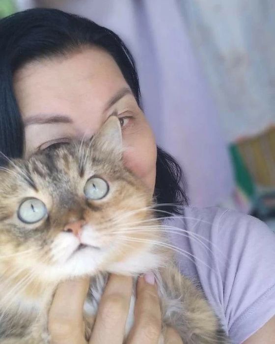 Пропала кошка, проспект Новобаварский 95