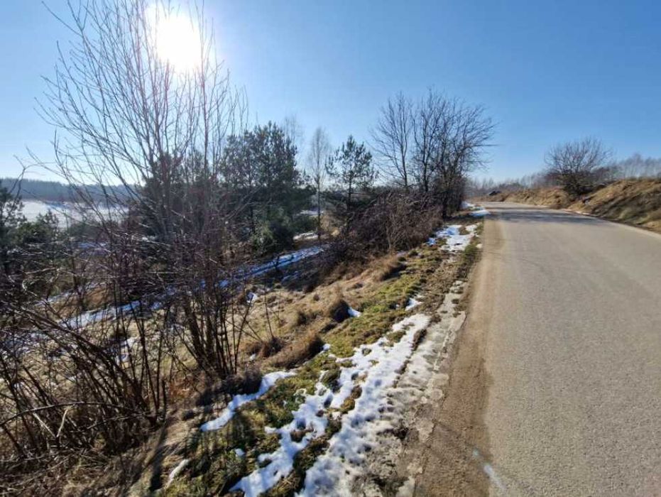 Syndyk sprzeda nieruchomość niezabudowaną - Sikorzyno