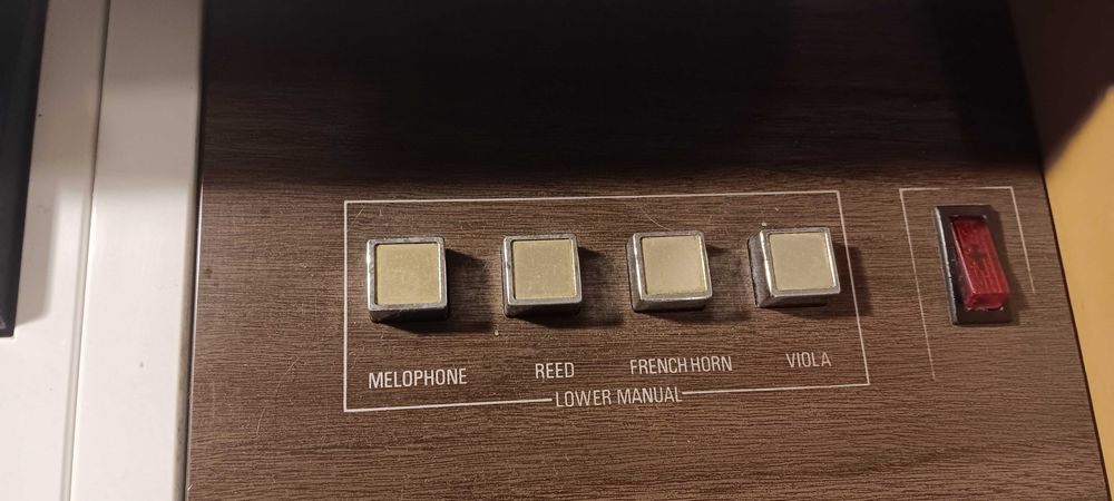 Órgão Tiger rock n roll