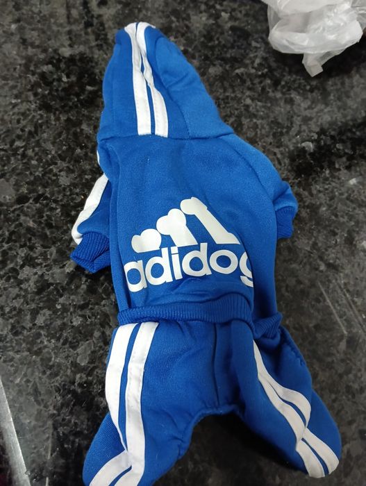 Casaco cão  ao estilo do Porto ;)