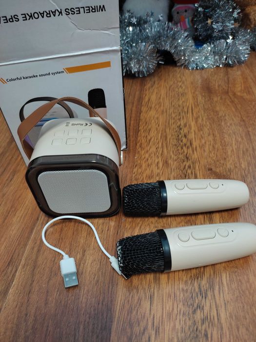 Портативна акустична система, музичний плеєр на два мікрофони