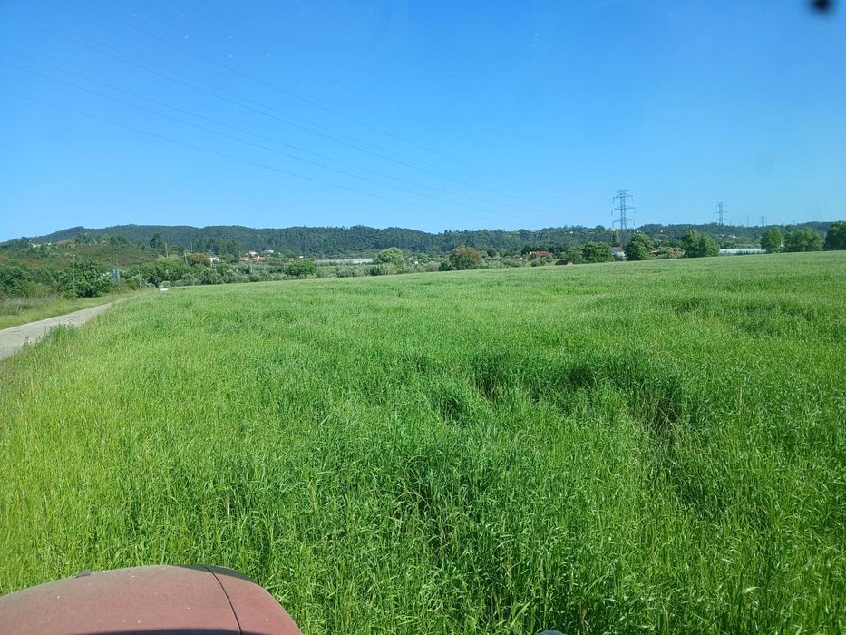 Bolas fenosilagem de azevem