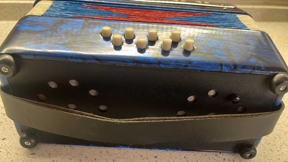 Accordion for child64365230614017122