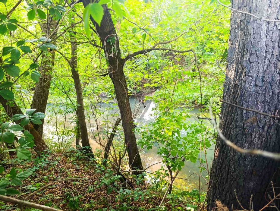 Дача біля лісу, просто поруч - річка Білоус !