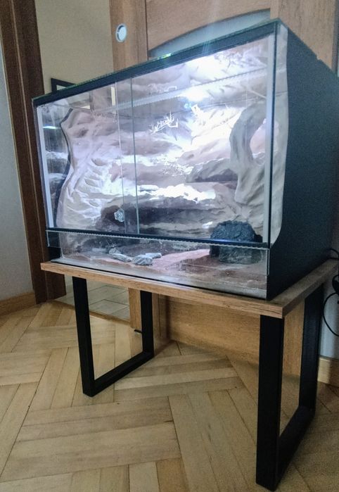 terrarium dla gekona