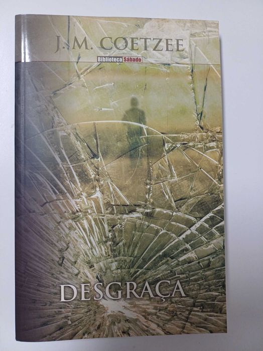 J.M. Coetzee - Desgraça