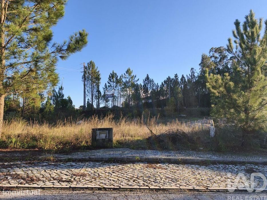 Terreno para construção em Ansião