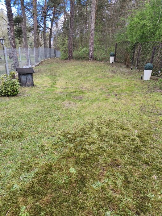 Koszenie trawy, trawników dużych i małych powierzchni