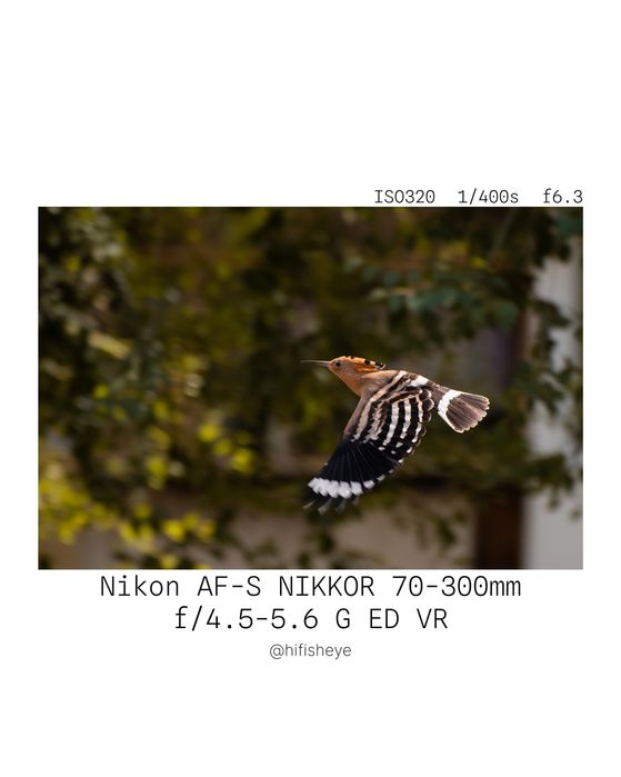 Nikon Nikkor AF-S 70-300mm f/4.5-5.6 G IF-ED VR