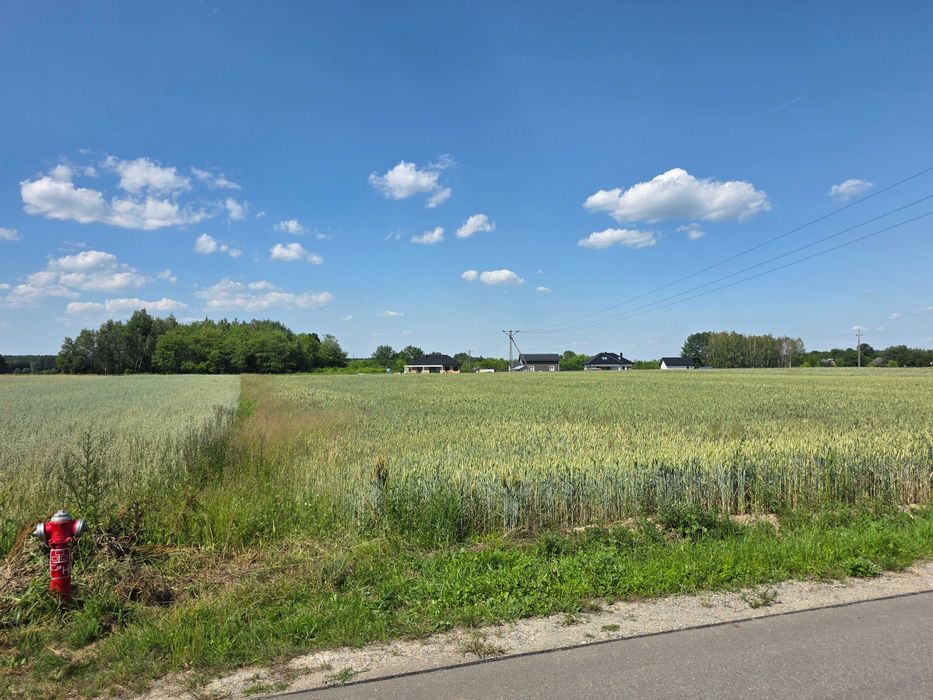 Budowlana płaska działka 25ar/prąd, woda/wydana WZ pod dom 165 m² - Widok 4