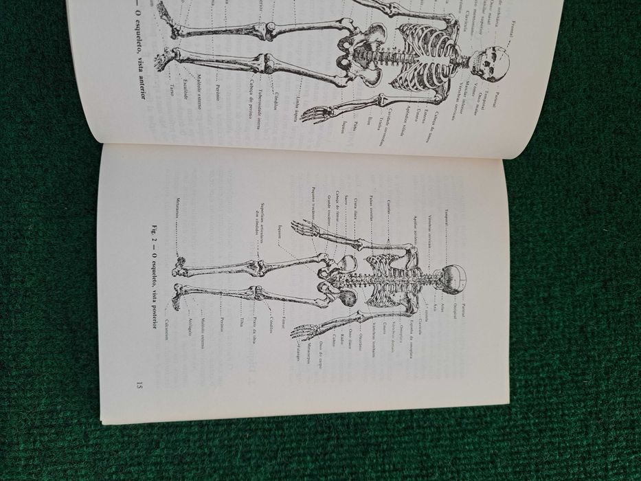Manual Prático de Massagem - Doutor J. E. Ruffier