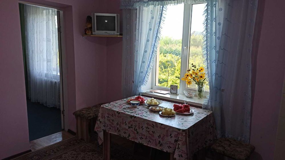 Продам дом 2 этажа 60 соток, гараж, баня,сад, виноградник с.Гребенники