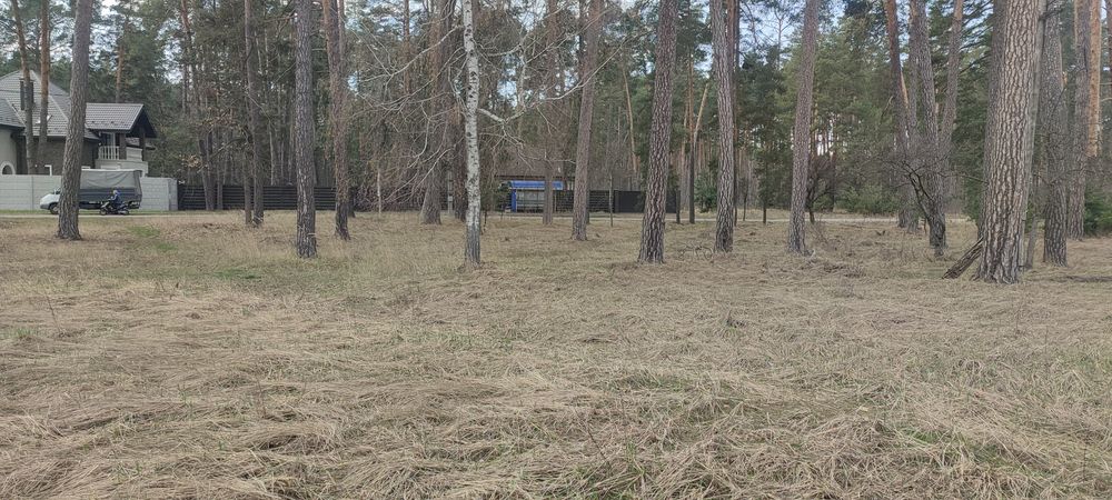 Продам супер ділянку в Пірнове 15.46сот