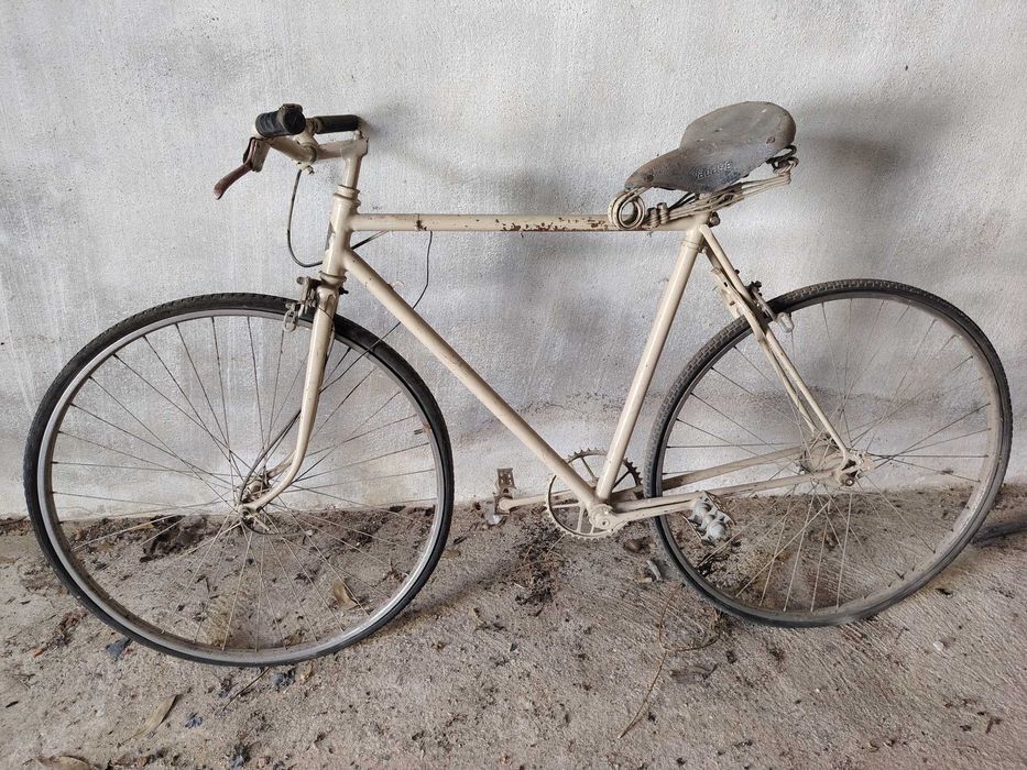 Bicicleta Pasteleira