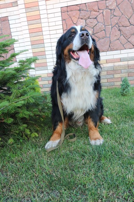 Файний хлопчик КСУ в’язка