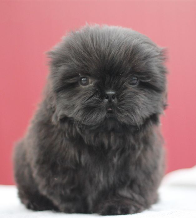 Лялькова дівчинка невеликого розміру