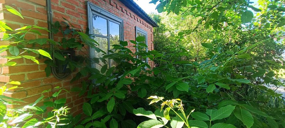 Продам власну дачу м-н Затишний (Вороніна)