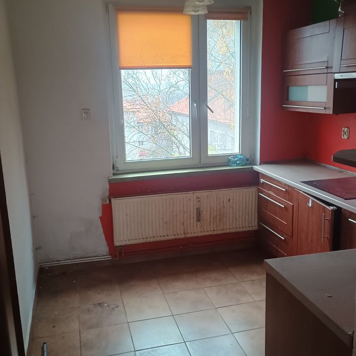 Zdjęcie 5