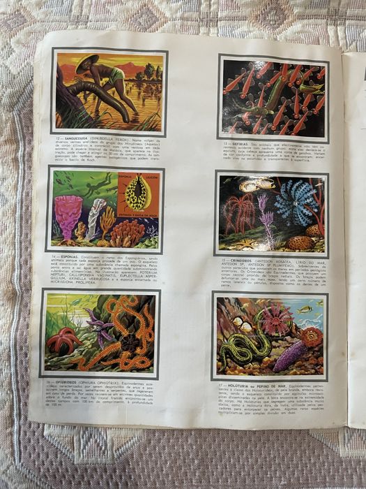 Caderneta de cromos completa Panorama zoológico