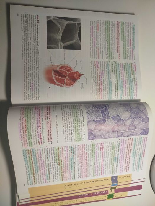 Histologia Texto e Atlas, Ross & Pawlina, 6a edição