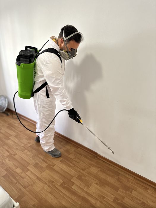 DESINFESTAÇÃO CONTROLO D EPRAGAS PERCEVEJOS BARATAS PULGAS TÉRMITAS